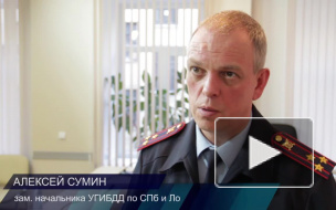 Петербургские перекрестки освободят от машин повышением штрафов