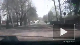 Видео: смертельное ДТП в Мареве