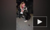 Трогательное воссоединение хозяйки с пропавшей собакой попало на видео