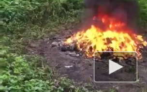 Члена партии "Яблоко" попытались зарубить черенком от лопаты