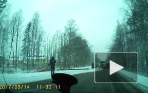 На Зеленогорском шоссе машина снесла столб: выросла огромная пробка