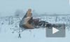 Появилось первое видео с места крушения самолета АН-148 в Подмосковье