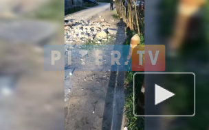 В Сертолово обрушилась облицовка дома 