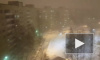 В Петербурге бушует пурга (видео) 