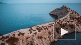 В Крыму рассказали, сколько украинцев приехали жить на полуостров