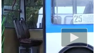 Вдоль по Невскому. Петербургскому троллейбусу исполнилось 74 года.