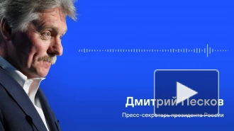 Кремлю важно понять итоги работы США с Украиной после встречи Путина с Уиткоффом