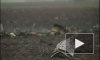 Ан-12 разбился в Магаданской области