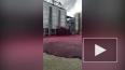 Испанский завод затопило красным вином