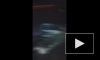 Видео: "Форд Мондео" врезался в столб на Приморском шоссе и собрал длинную пробку