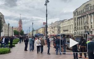 Акция "Кормим голубей" снова стартовала в центре Петербурга