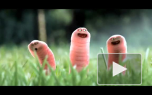 Про червячков :)