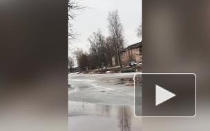 В Новой Ладоге мужчина прыгнул в ледяную воду, чтобы спасти тонущую собаку