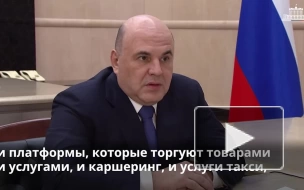 Мишустин призвал ФАС тщательно контролировать процессы ценообразования на электронных торговых площадках