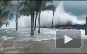 СМИ: в Индии шесть человек погибли в результате циклона "Яас"