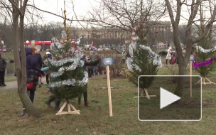 Дыхание Петербурга: чем запомнилась вторая неделя 2014 года