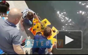 Видео: Активисты спустили в Карповку пазлы с цветами 