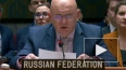 Небензя: резолюция РФ по Ближнему Востоку была невыгодна ...