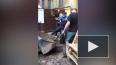 Видео: петербуржцы борются за историческую брусчатку ...