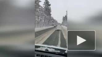 В Зеленогорске произошло массовое ДТП на скользкой трассе