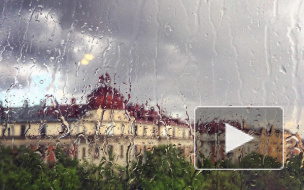 Петербуржцы сняли первую грозу на фото и видео