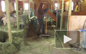 Американский танцующий фермер зажёг в сарае