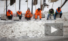 В Кронштадте доказали: россияне лучше мигрантов убирают снег