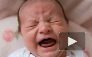 Парадокс: петербуржцы стали чаще умирать и реже жениться, а рождаемость продолжает расти