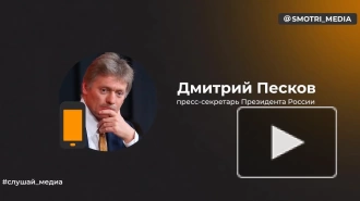 Песков назвал встречу в Давосе по Украине бессмысленной