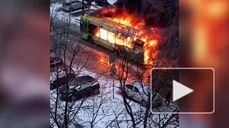 Видео: на проспекте Луначарского полностью сгорел пассажирский автобус