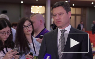 Новак прокомментировал слухи о восстановлении "Турецкого потока"