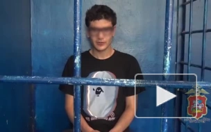 В Подмосковье задержали москвича, забравшего у пенсионера полмиллиона рублей