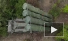 Минобороны РФ: российские средства ПВО сбили 30 украинских снарядов РСЗО HIMARS и "Ольха"