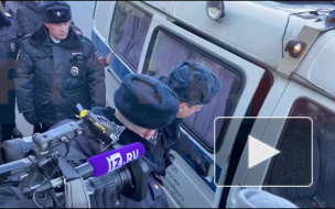 На одиночном пикете в Петербурге задержали активистку 