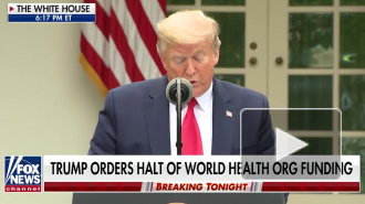 США приостановили финансирование ВОЗ