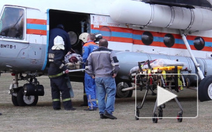 В Липецкой области тракторист разорвал газонокосилкой двух маленьких детей