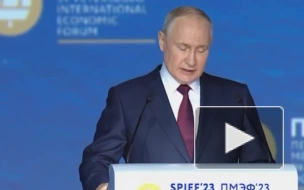 Путин заявил о тенденции к отказу от нефтегазовой "иглы"
