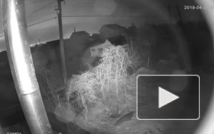 Жители Самары сняли на видео падение метеорита