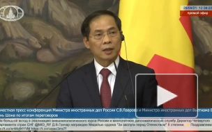 Глава МИД Вьетнама поблагодарил Россию за "Спутник V"