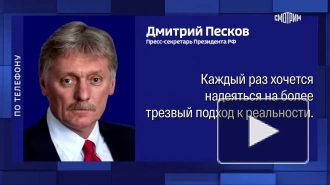 Кремль по итогам выборов в ФРГ надеется на "более трезвый подход" Берлина