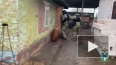 ФСБ задержала в Ростовской области неонацистов, оскверня ...