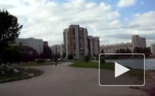 В пруду на Демьяна Бедного плавал труп
