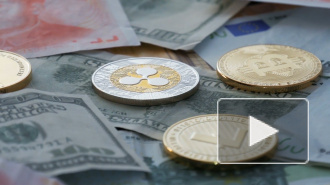 Стивена Сигала оштрафовали на 314 000 долларов в США за рекламу криптовалюты