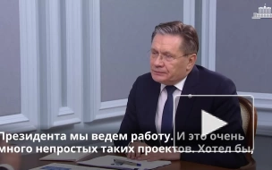 Мишустин попросил главу Росатома держать на особом контроле вопросы экологии