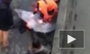 В сети появилось видео о попытке спасения утонувшего мужчины в Калининграде