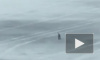 Видео: на Урале подросток провалился под лед