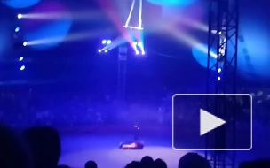 В Барнаульском цирке гимнастка сорвалась с высоты ...