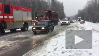 После смертельного ДТП на трассе "Скандинавия" было организовано реверсивное движение