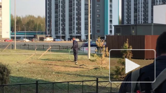 На Парашютной пробуют "жидкий газон": жители приняли смесь за зеленую краску