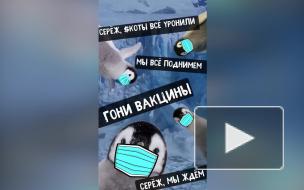 МИД России опубликовал пародию на мем с котами